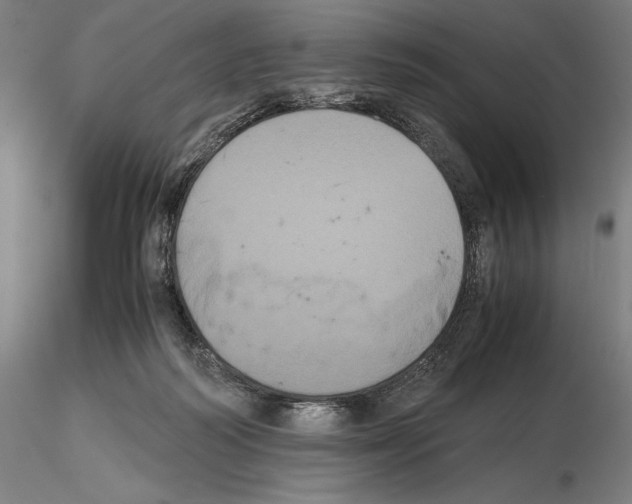 X0000114620218200912011009