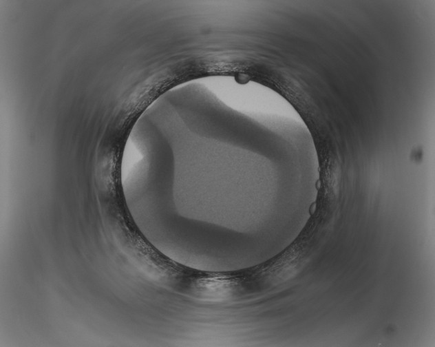 X0000114620219200912011009