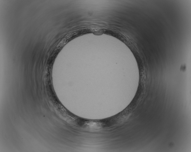 X0000114620221200912011009