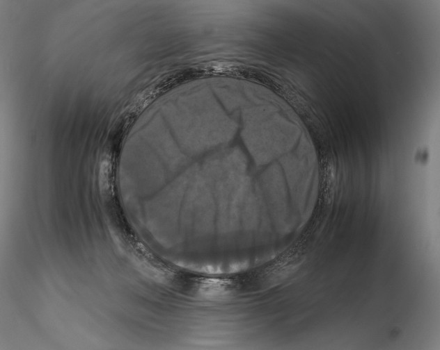 X0000114620222200912011009