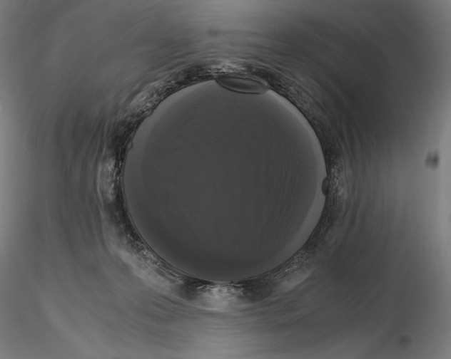 X0000114620223200912011009