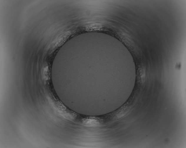 X0000114620224200912011009