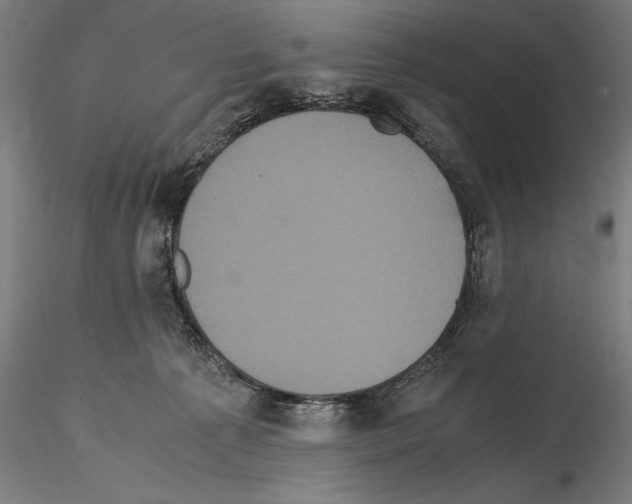 X0000114620225200912011009