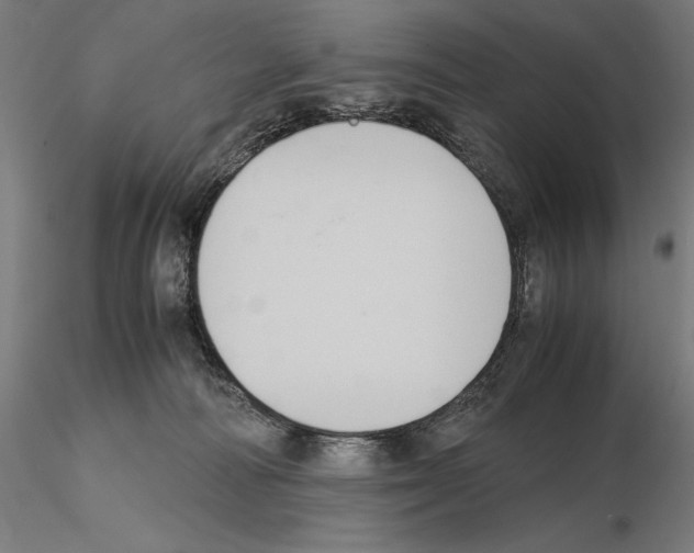 X0000114620226200912011009