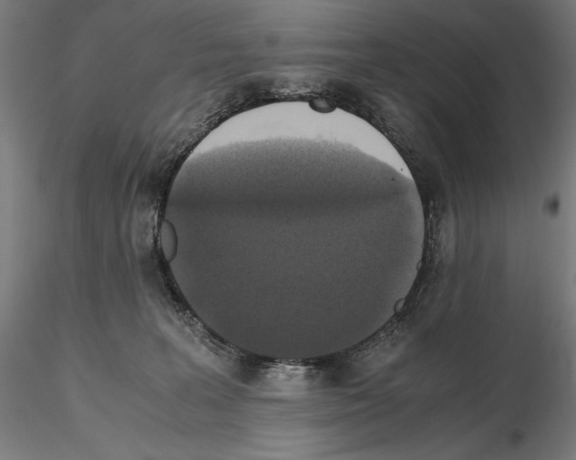 X0000114620227200912011009