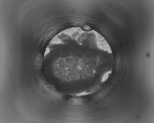 X0000114620228200912011008