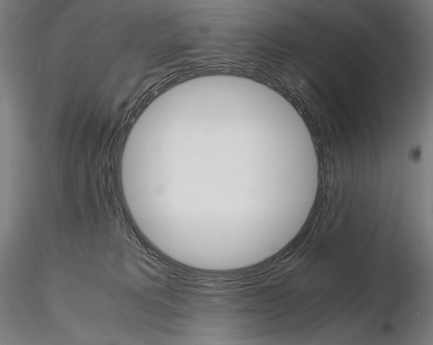 X0000114620229200912011008