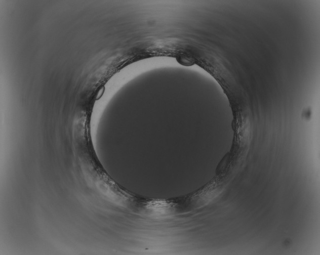 X0000114620231200912011008