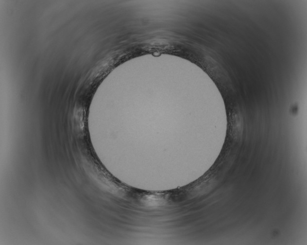 X0000114620232200912011008