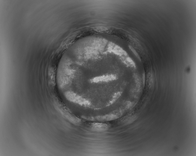 X0000114620234200912011008