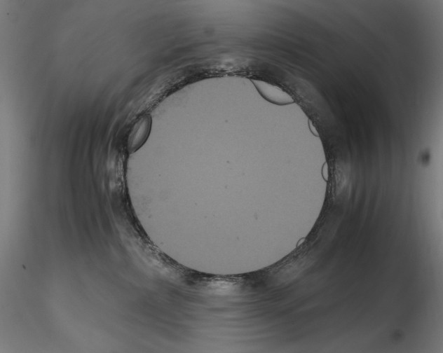 X0000114620236200912011008