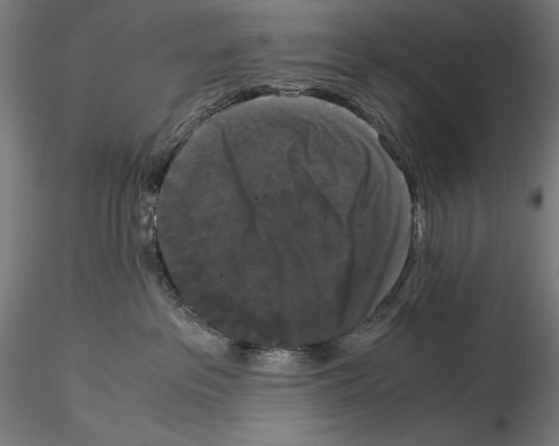 X0000114620237200912011008