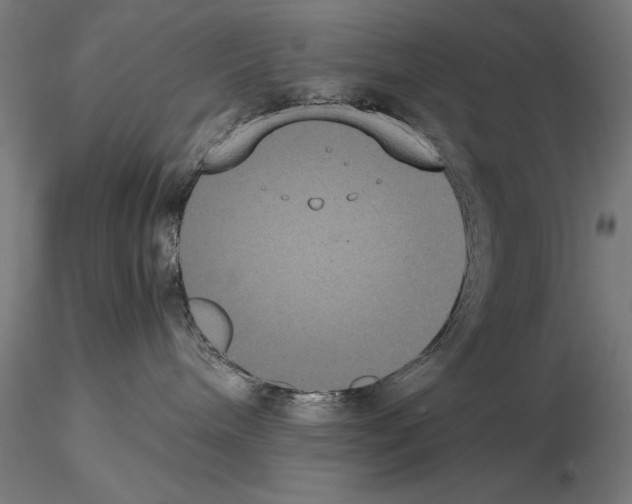 X0000114620240200912011008