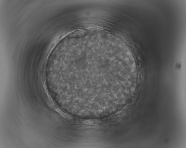 X0000114620241200912011008