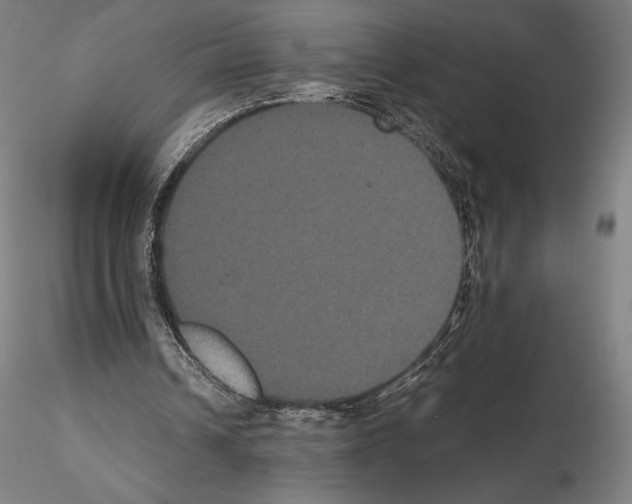 X0000114620242200912011008