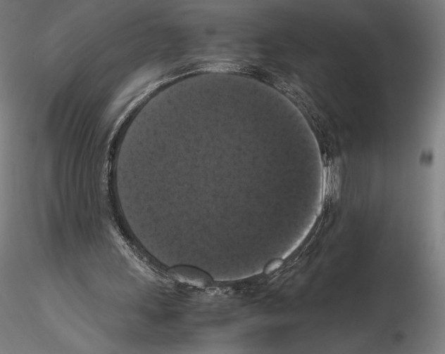 X0000114620243200912011008