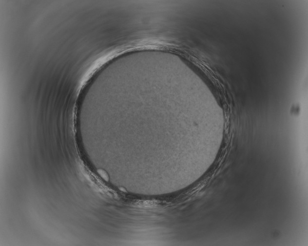 X0000114620244200912011008