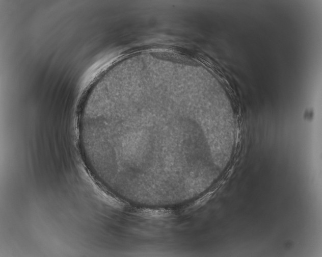 X0000114620245200912011008