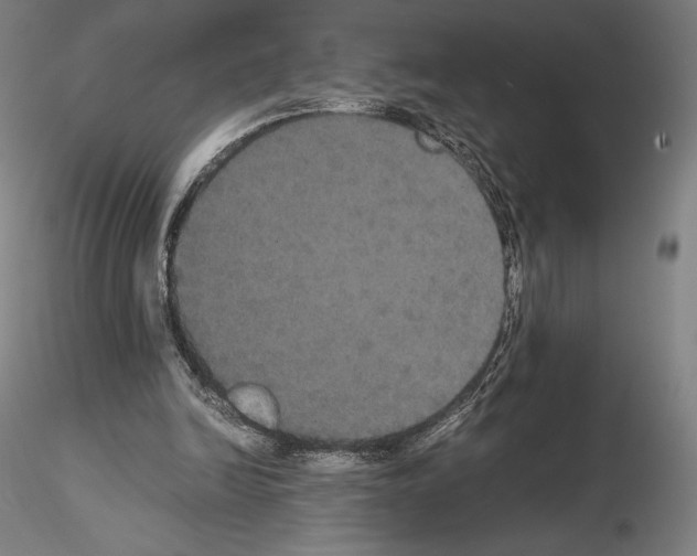 X0000114620246200912011008