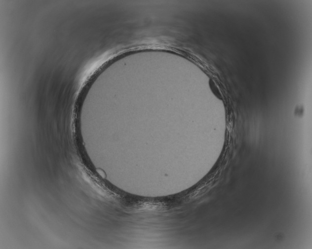 X0000114620248200912011008