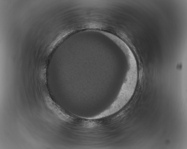 X0000114620249200912011008