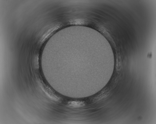 X0000114620251200912011008