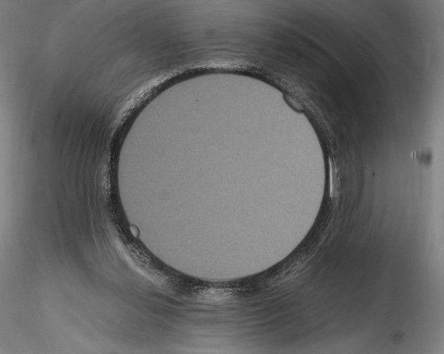 X0000114620252200912011008