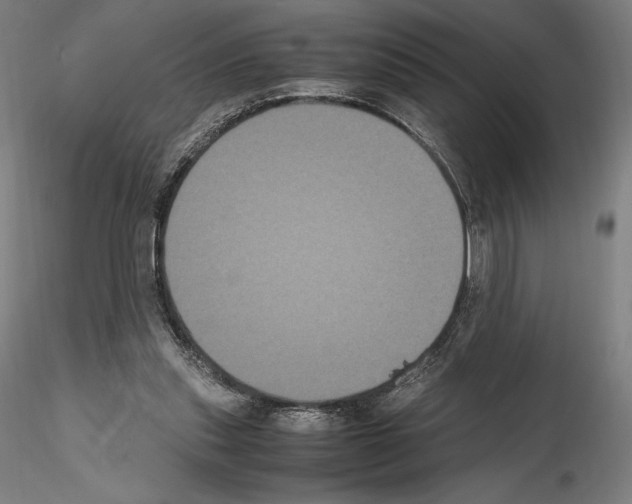 X0000114620253200912011008