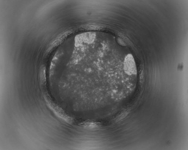 X0000114620254200912011008