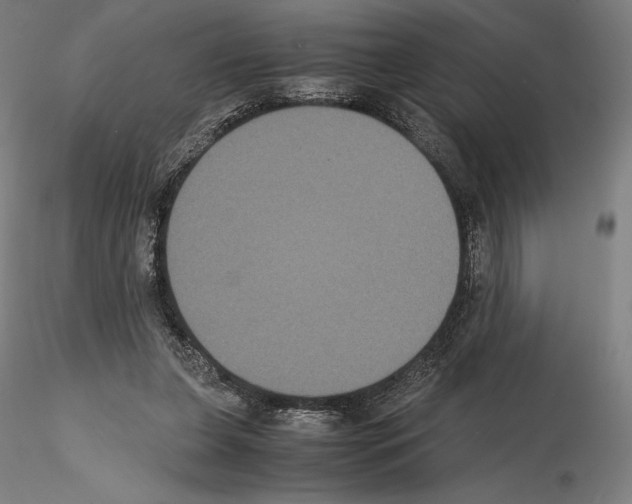 X0000114620255200912011008