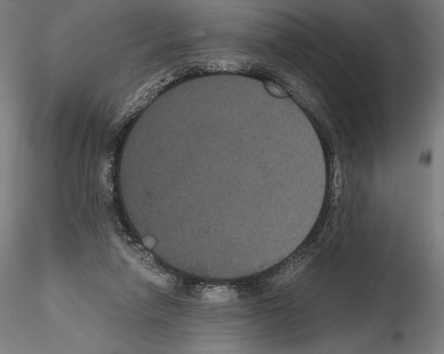 X0000114620258200912011008