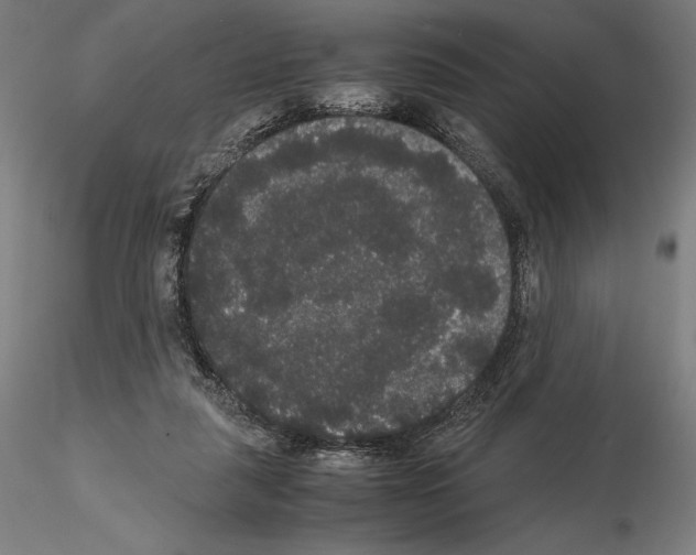 X0000114620259200912011008