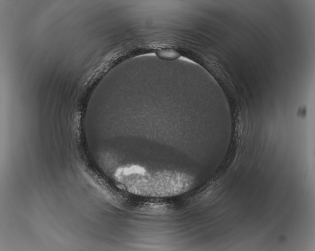 X0000114620260200912011008