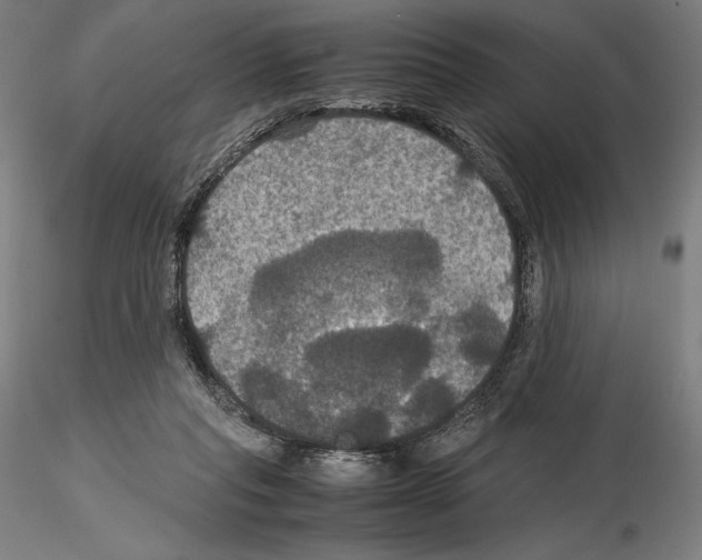 X0000114620261200912011008