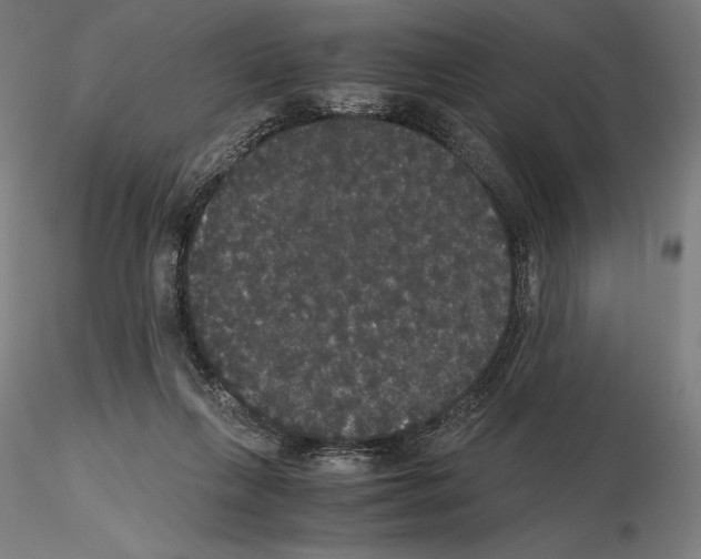 X0000114620263200912011008