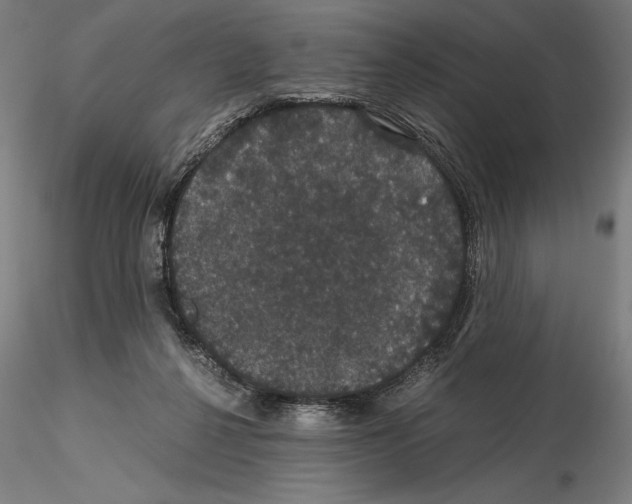 X0000114620264200912011008