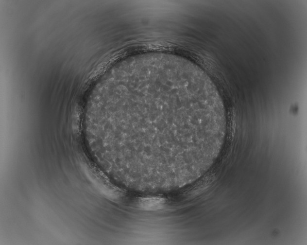 X0000114620266200912011008