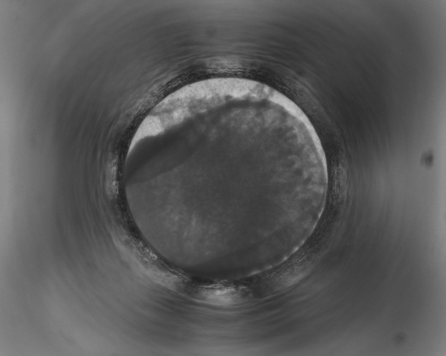 X0000114620267200912011008