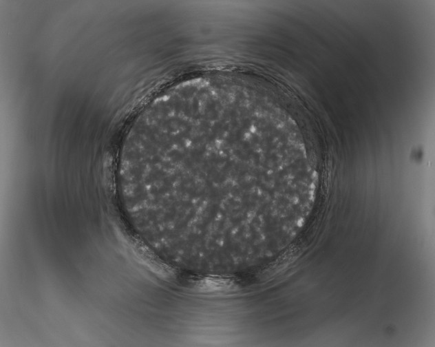 X0000114620270200912011008