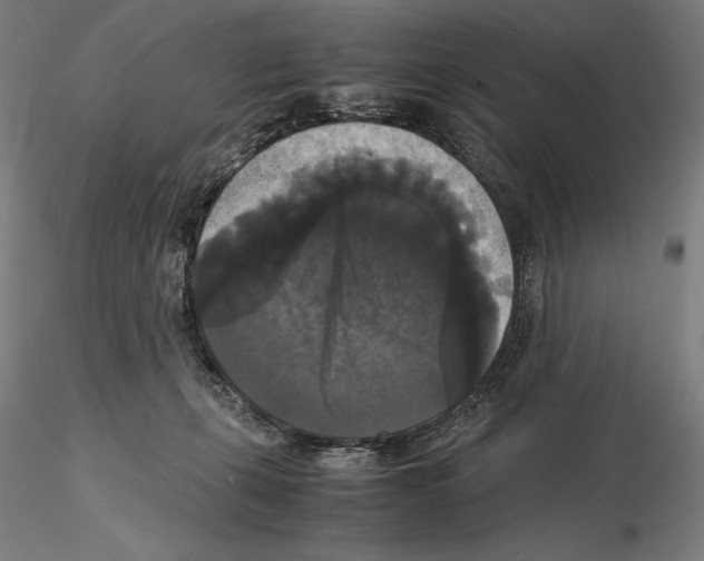 X0000114620271200912011008