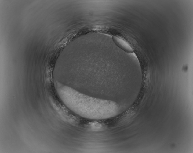 X0000114620272200912011008