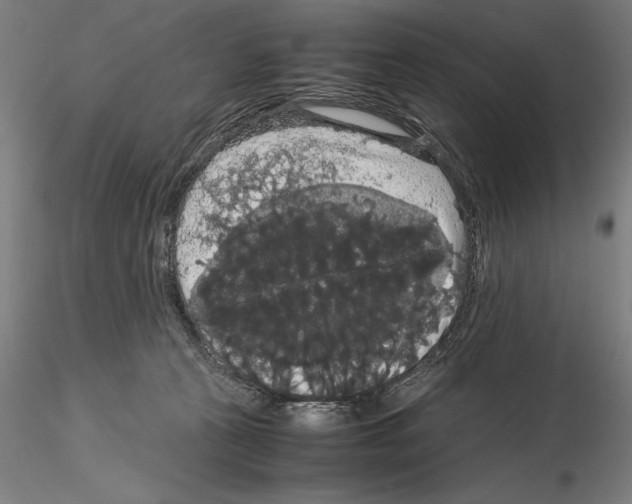 X0000114620273200912011008