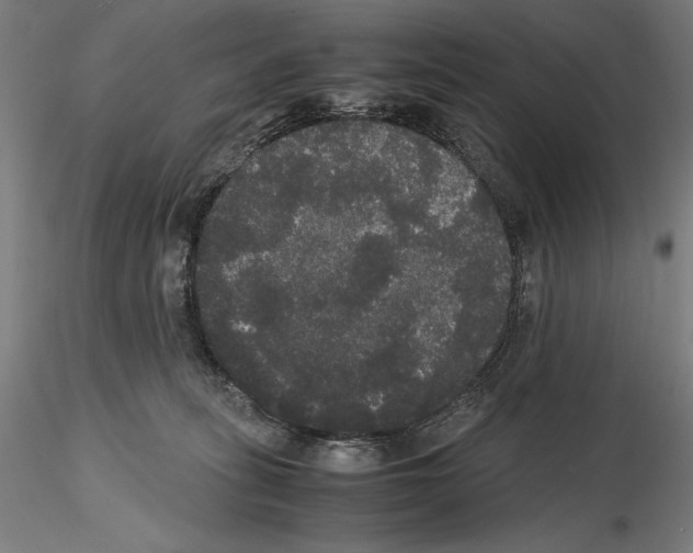 X0000114620275200912011008