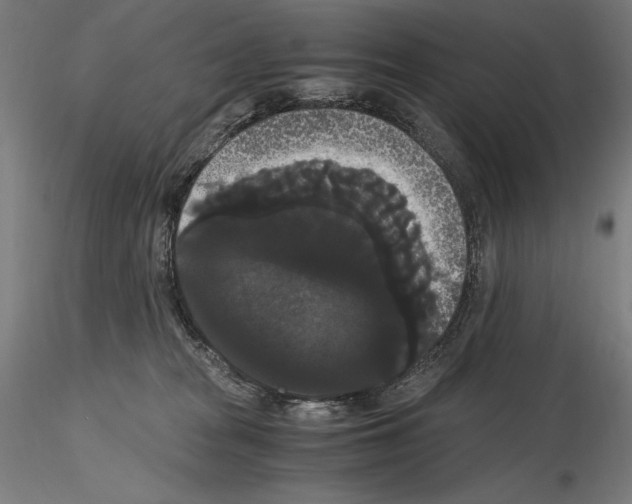 X0000114620277200912011008