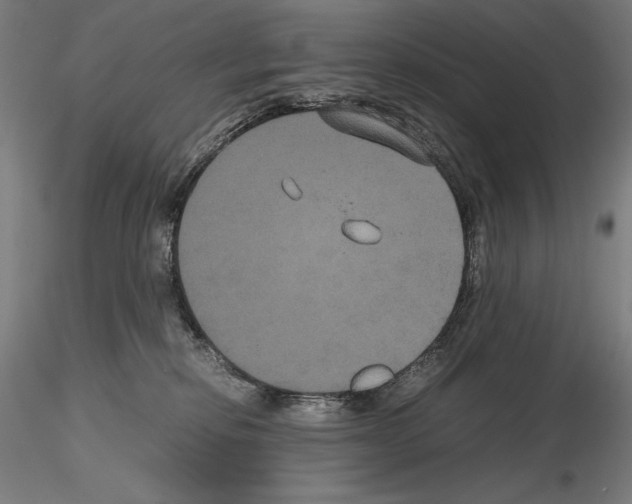 X0000114620278200912011008