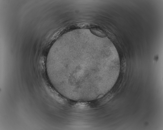 X0000114620280200912011008