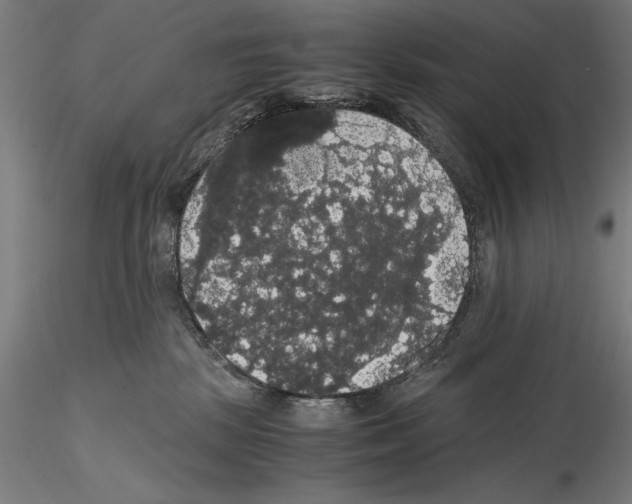 X0000114620281200912011008