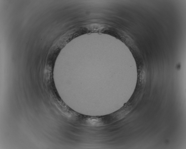 X0000114620283200912011008