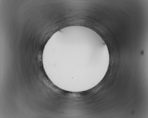 X0000114620284200912011008