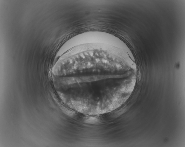 X0000114620285200912011008